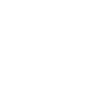 The Sports Creel Snowflake Logo